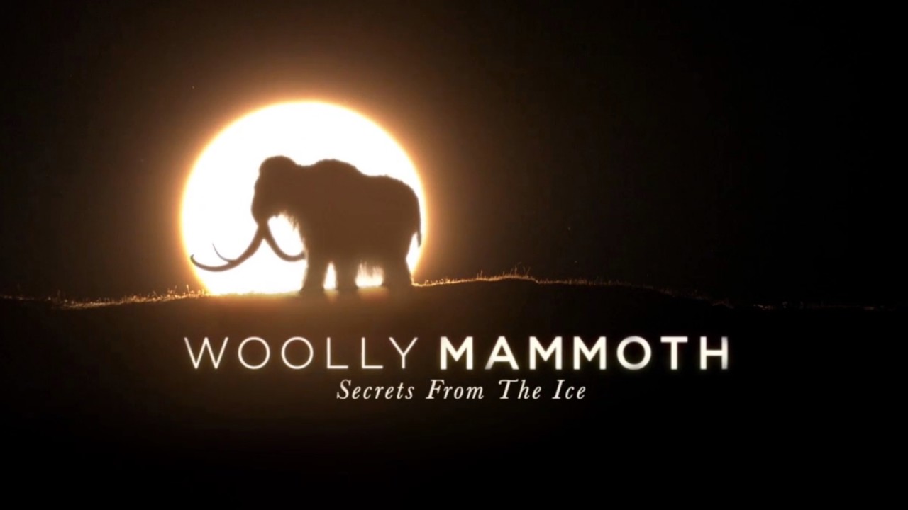 Woolly Mammoth: Secrets From The Ice - Airs 10:00 PM 1 Aug 2019 On BBC ...