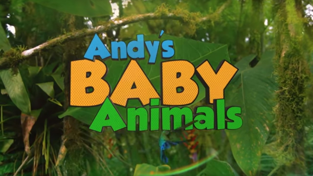 Andy's Baby Animals - Airs 11:30 AM 30 Apr 2018 on CBeebies - ClickView