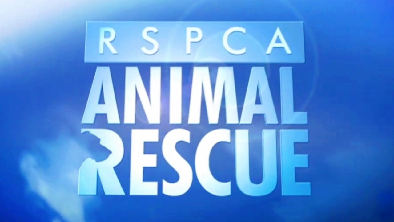 RSPCA Animal Rescue - Airs 4:30 PM 28 May 2018 on 7TWO - ClickView
