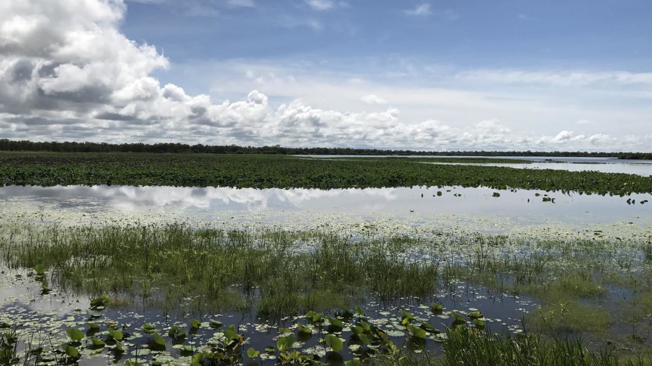 The Big Wet - Airs 11:05 PM 15 Apr 2019 on NITV - ClickView