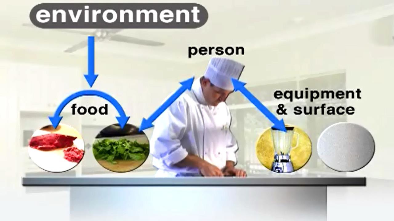 Safety in Food Handling